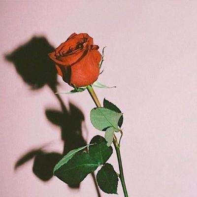 一分钟pk10赛车App