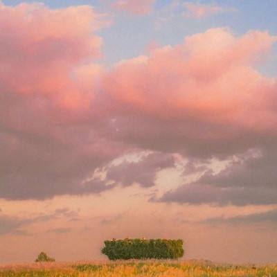 加拿大pc试玩平台